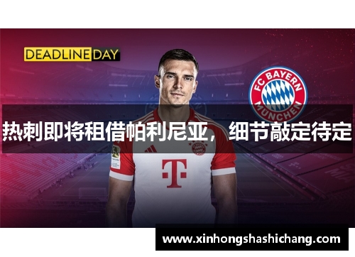 热刺即将租借帕利尼亚，细节敲定待定